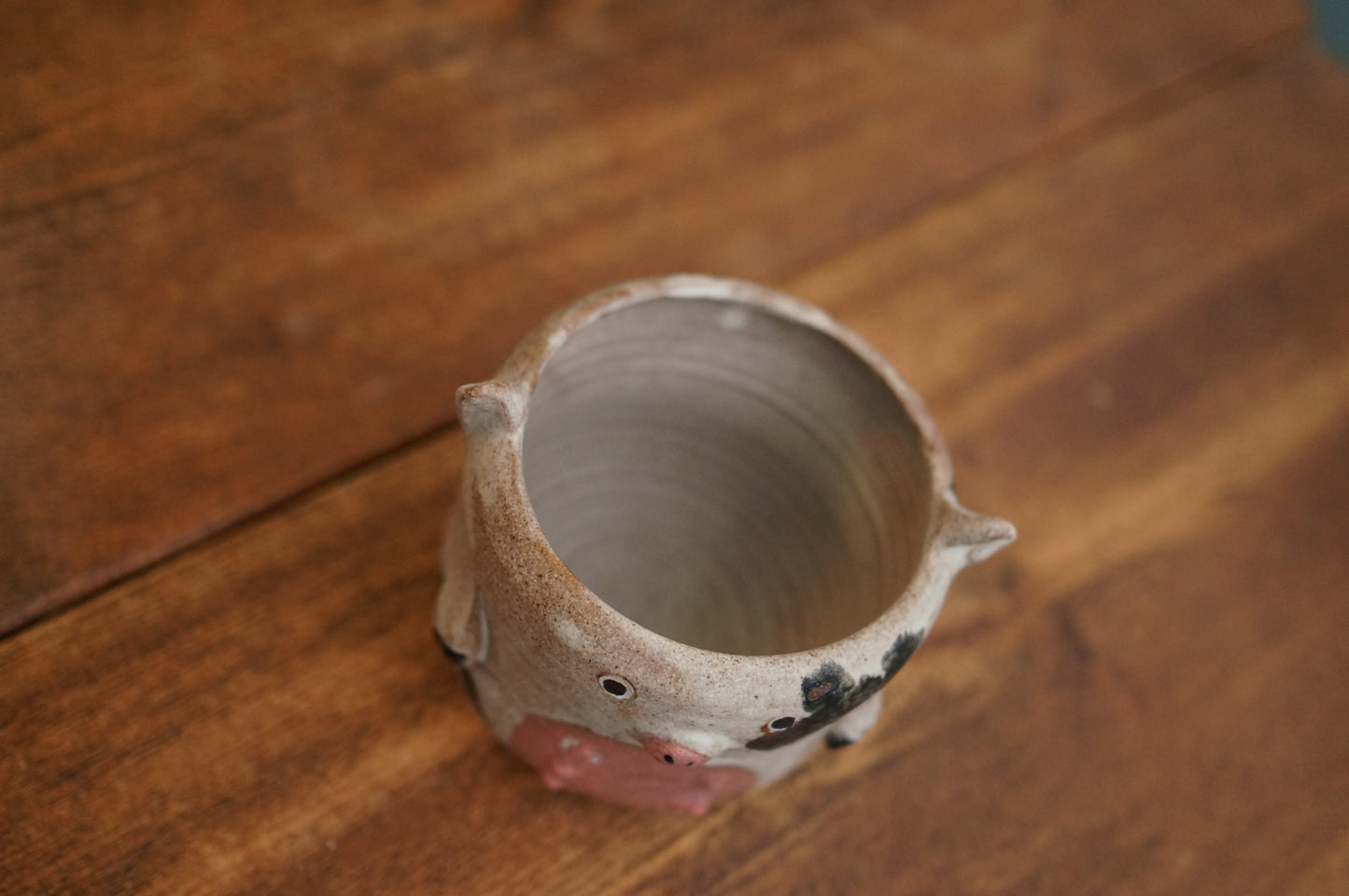 Cow Cup