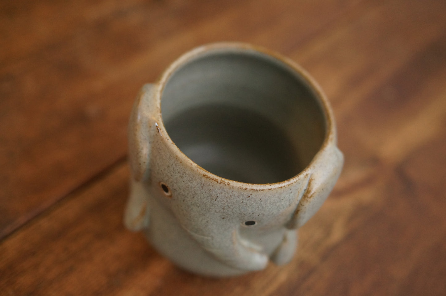 Elephant Cup