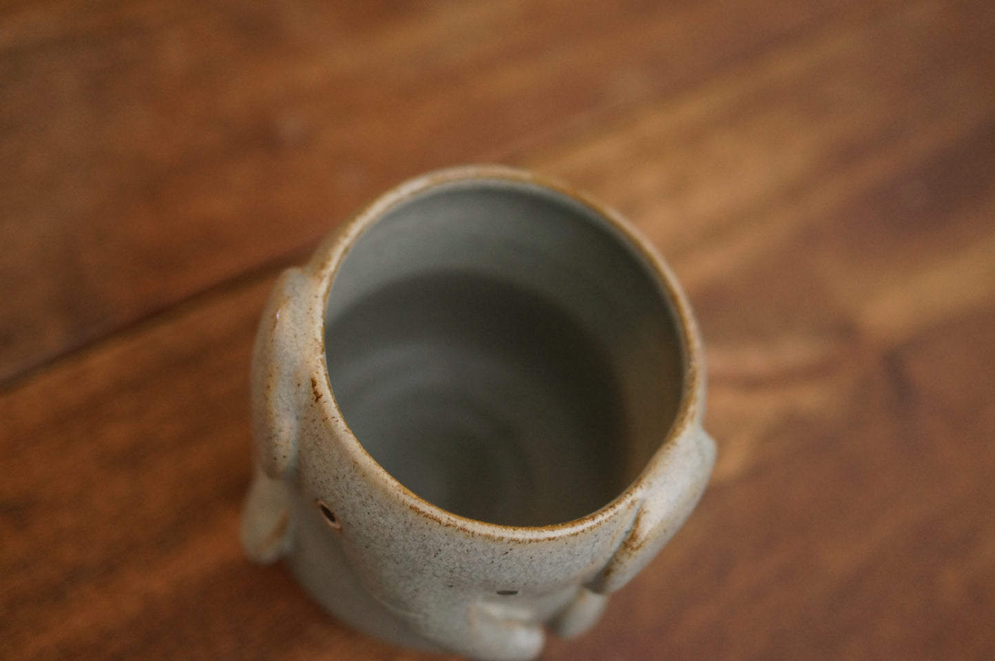 Elephant Cup