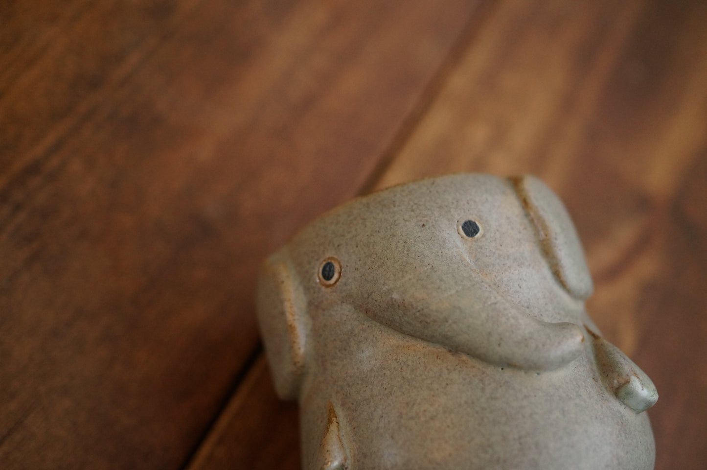 Elephant Cup
