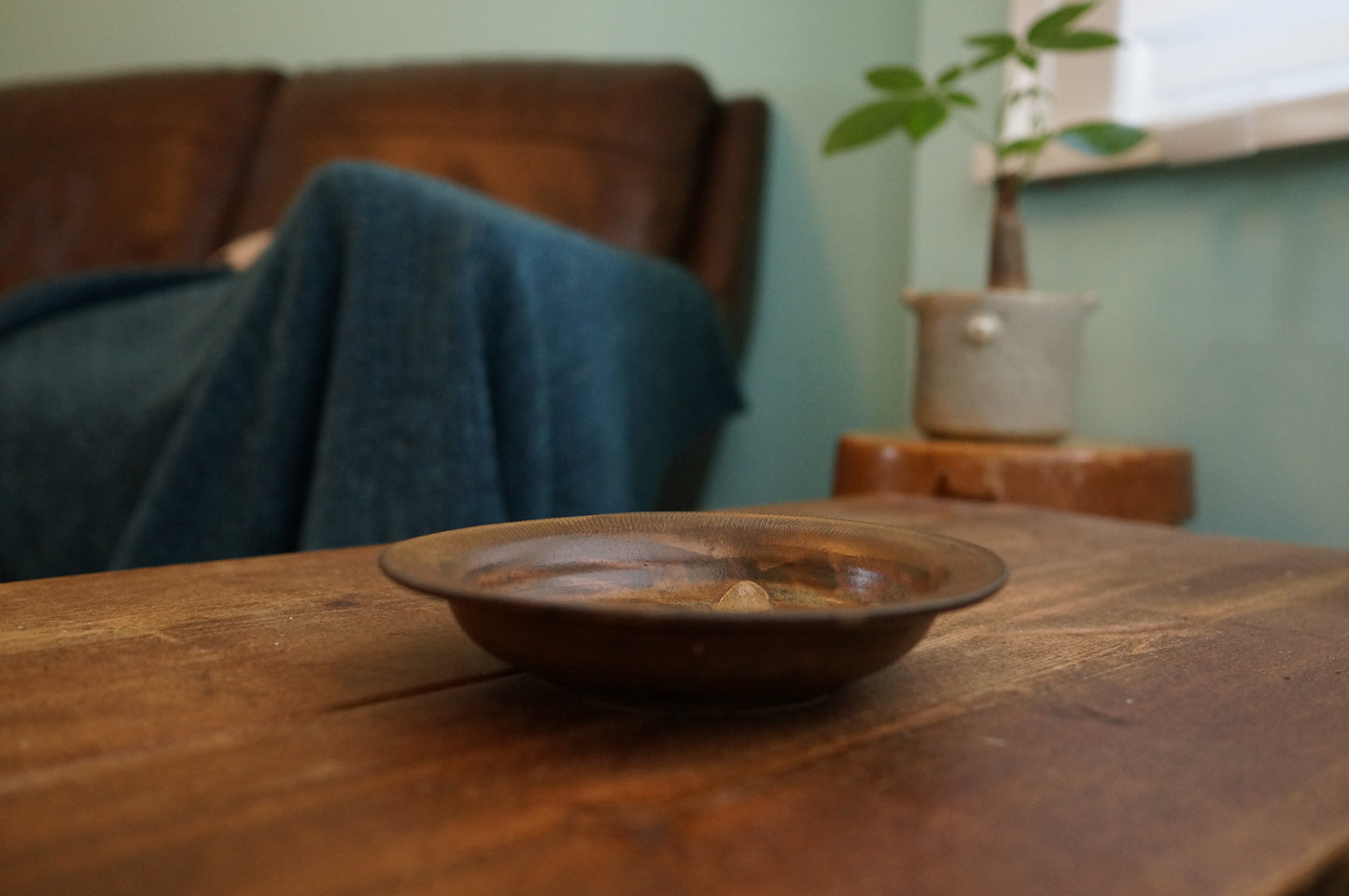 Hedgehog Plate