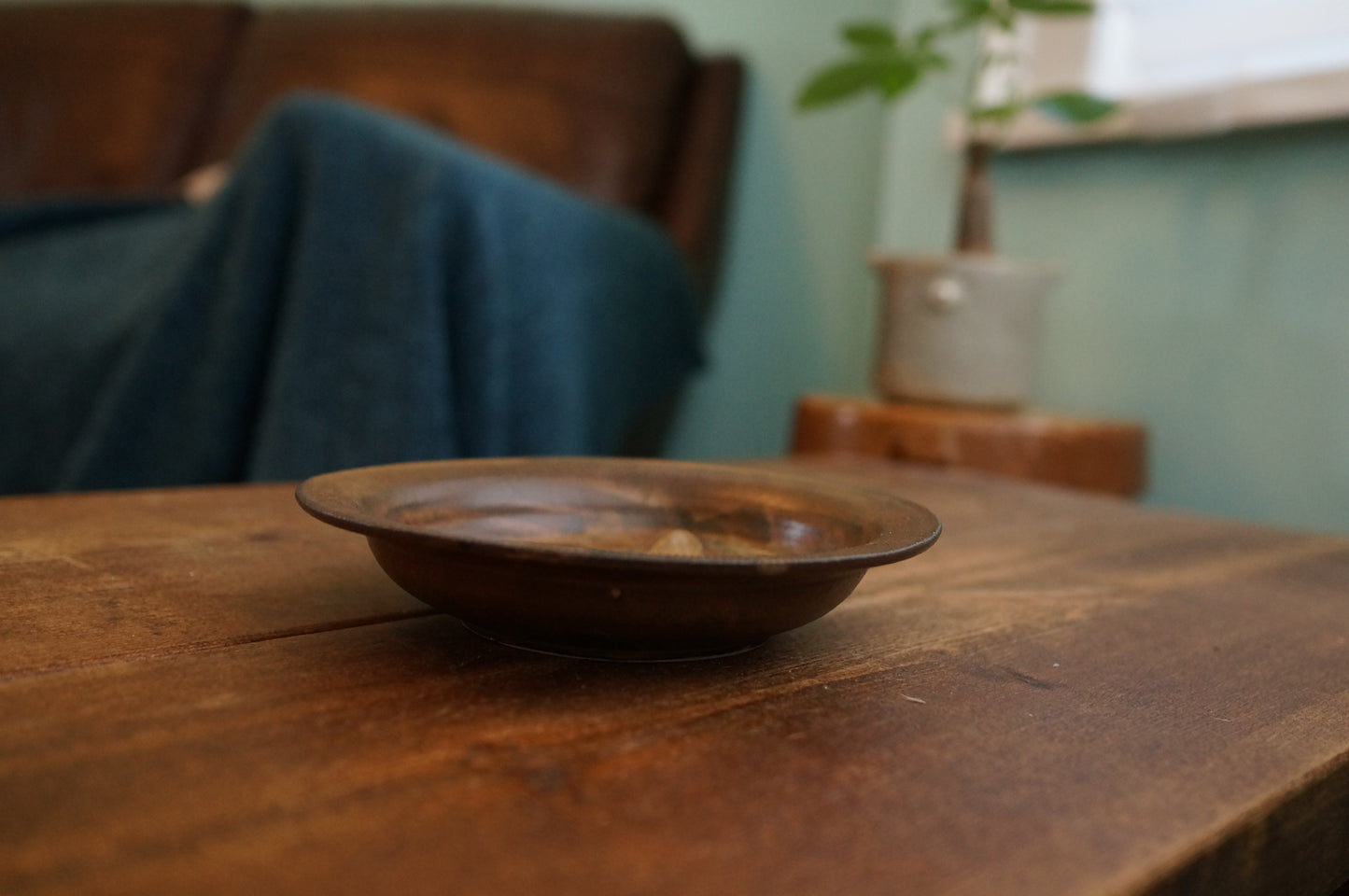 Hedgehog Plate