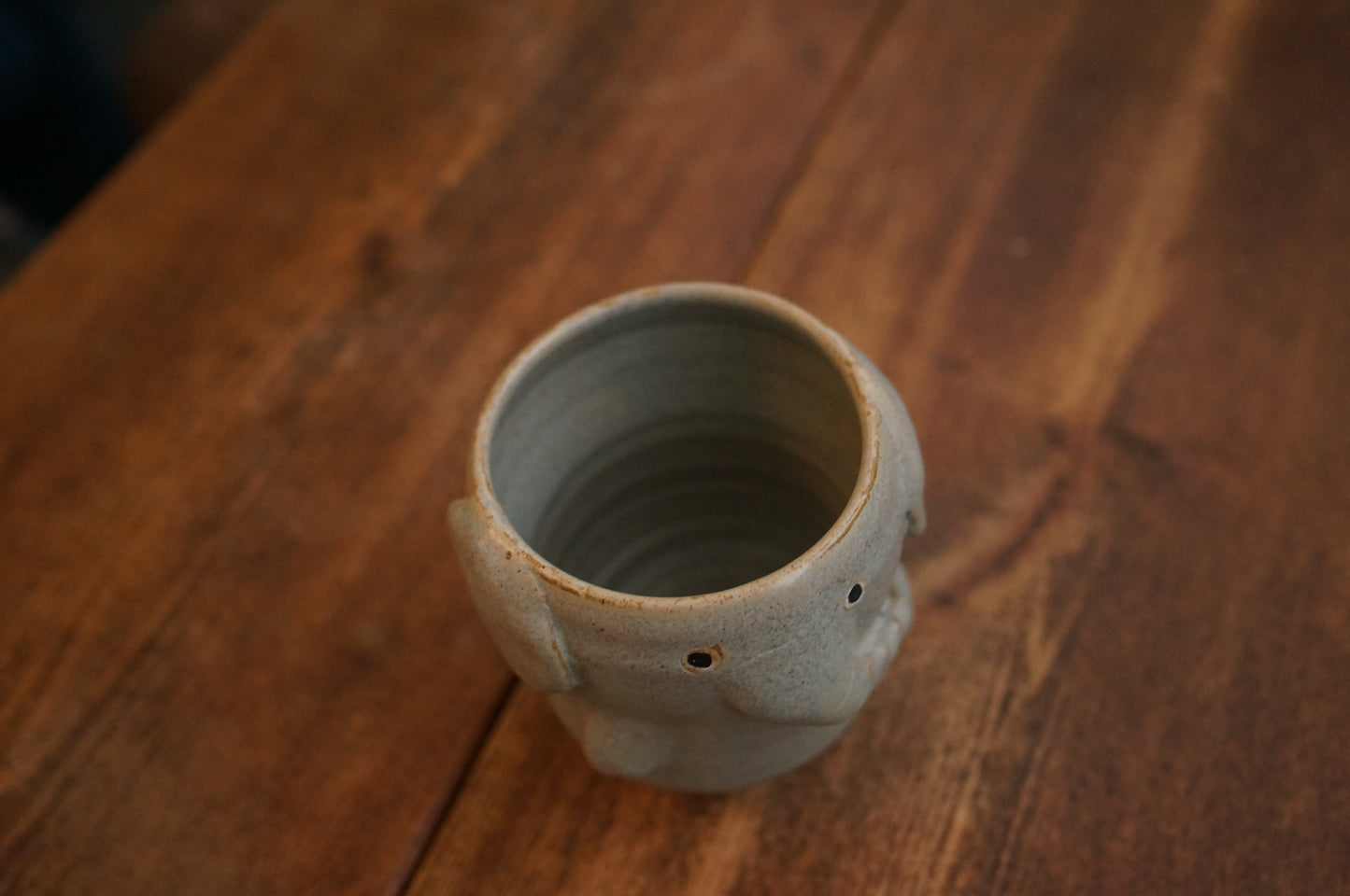 Elephant Cup