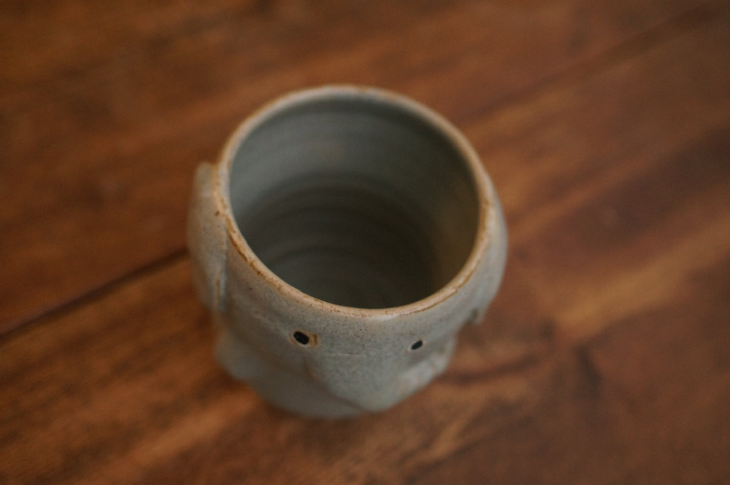 Elephant Cup