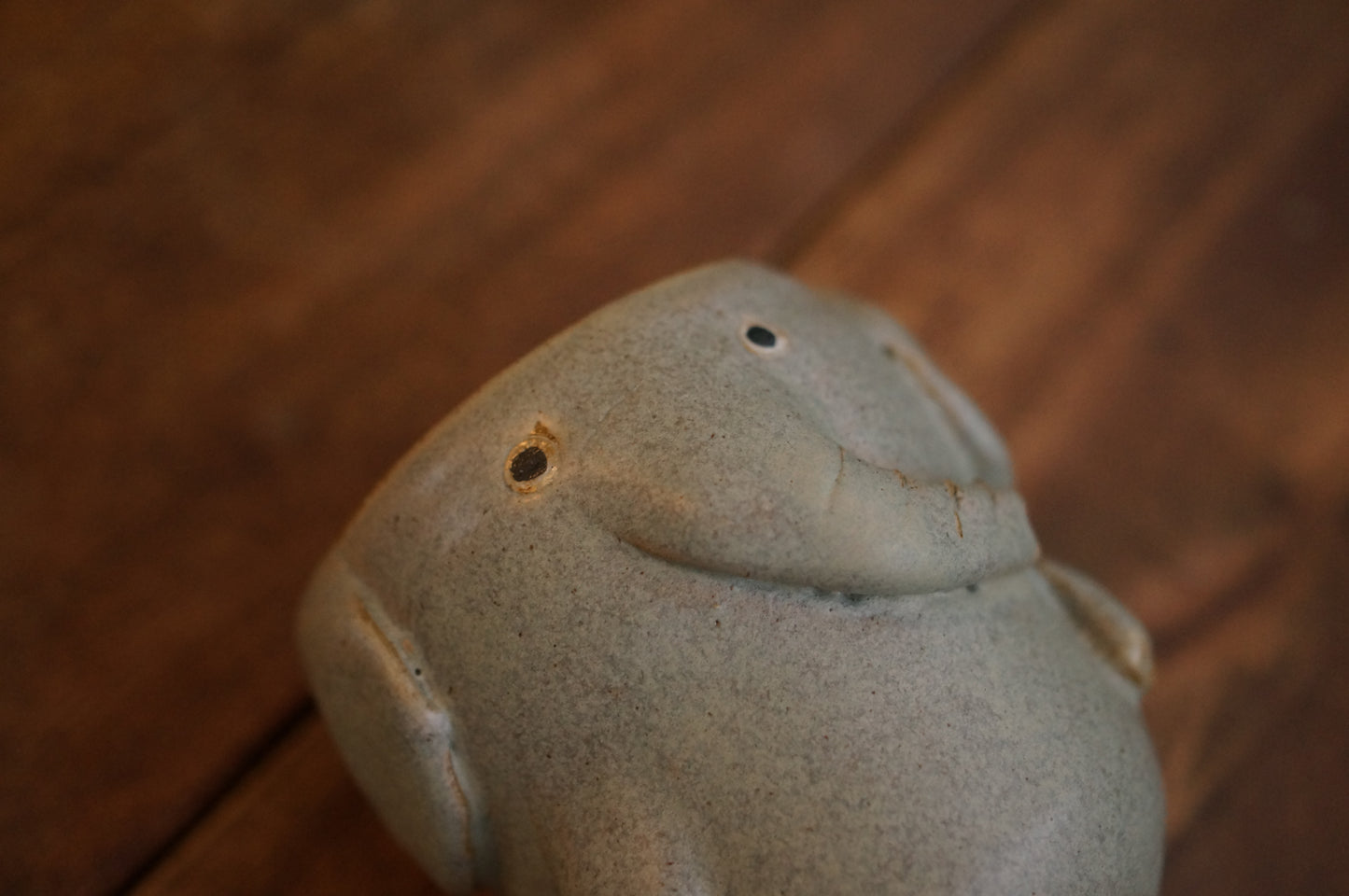 Elephant Cup