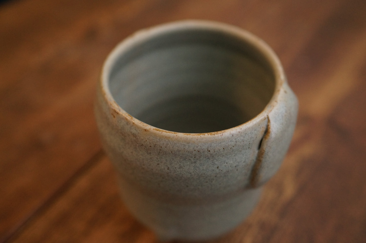 Elephant Cup