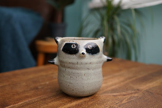 Raccoon Cup