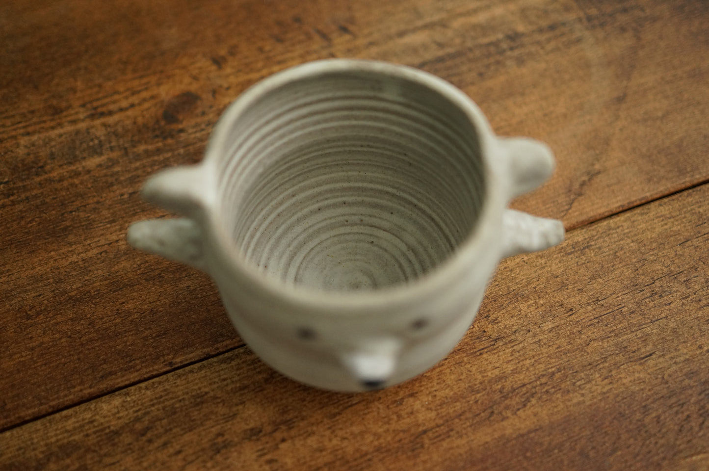 Polar Bear Mug
