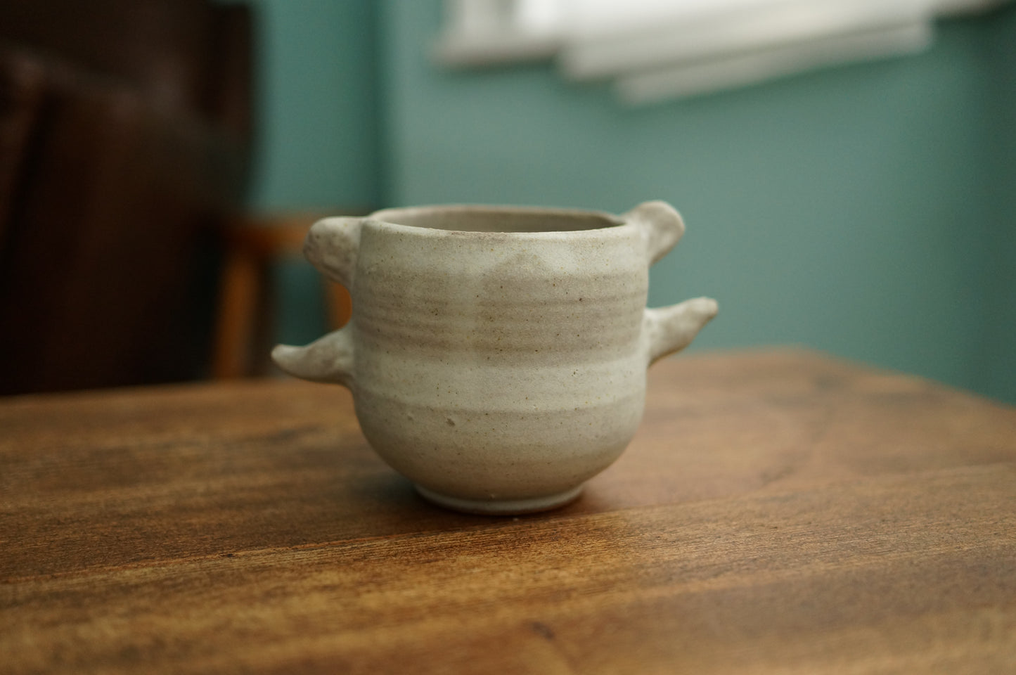 Polar Bear Mug
