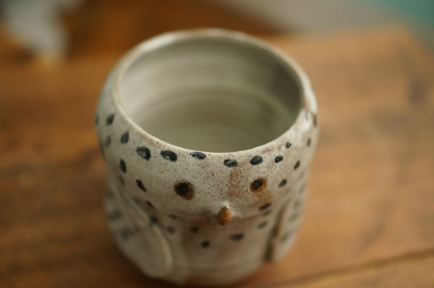 Owl Mug