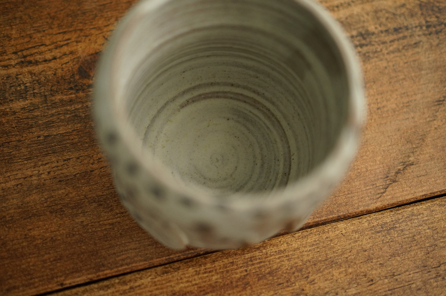 Owl Mug