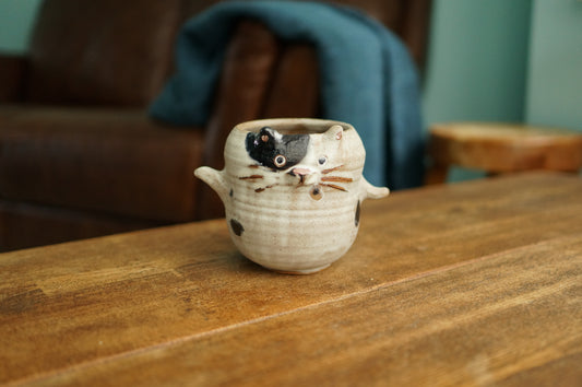 Cat Mug