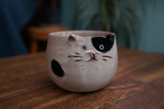 Cat Bowl