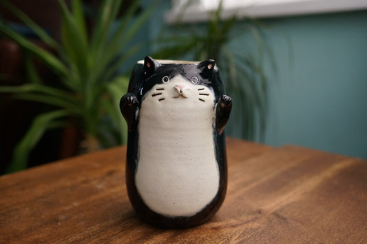 Black Cat Vase