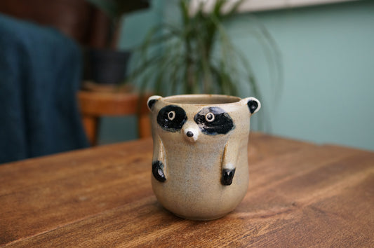 Raccoon Cup