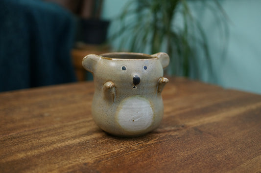 Koala Cup