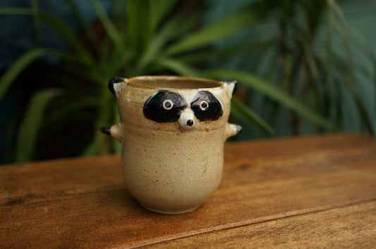 Raccoon Cup