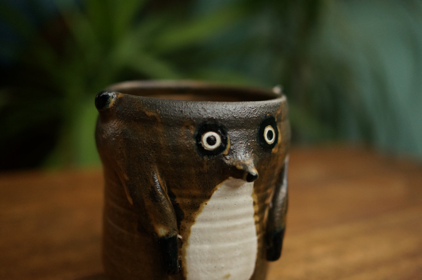 Meerkat Cup