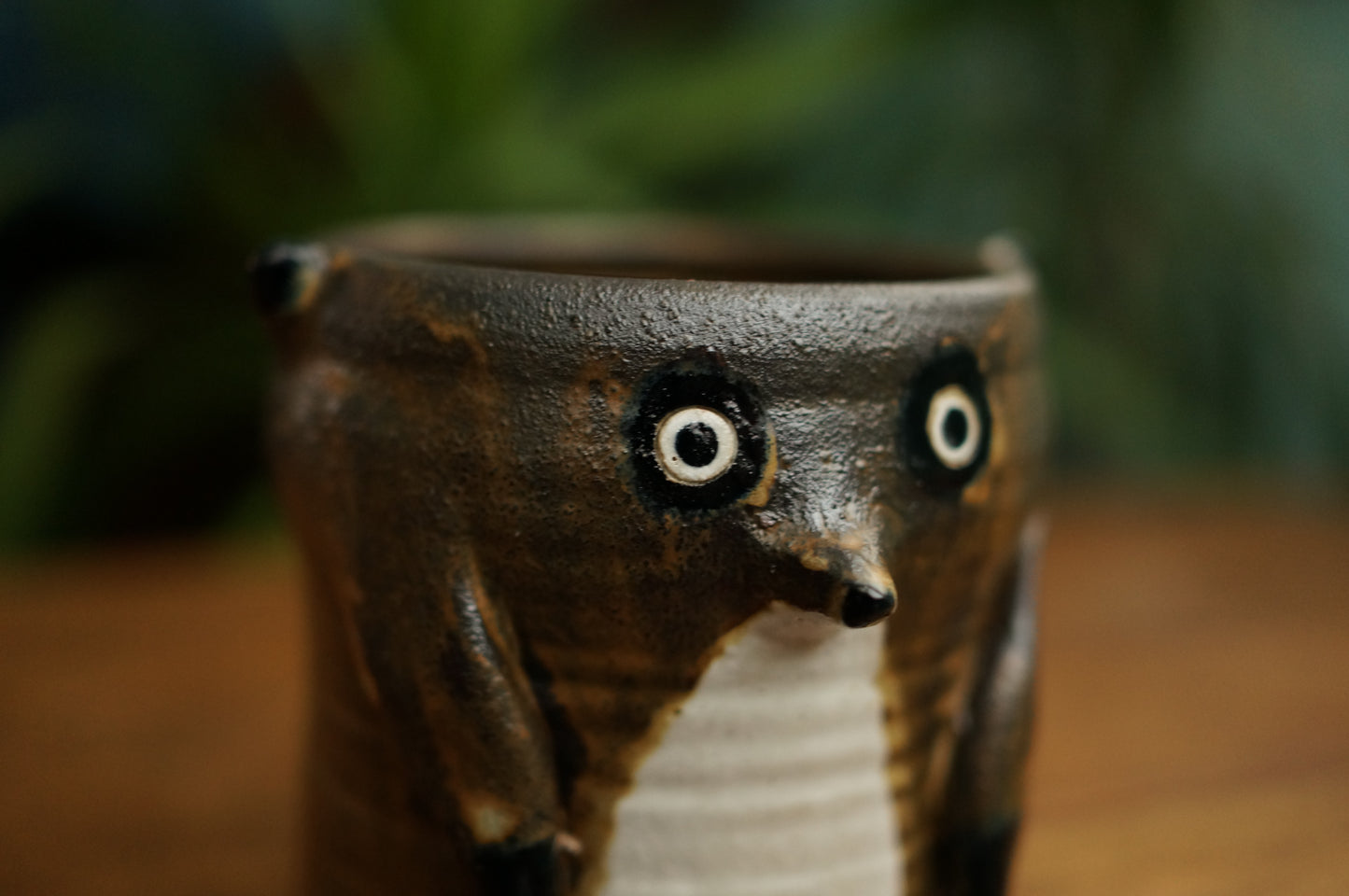 Meerkat Cup