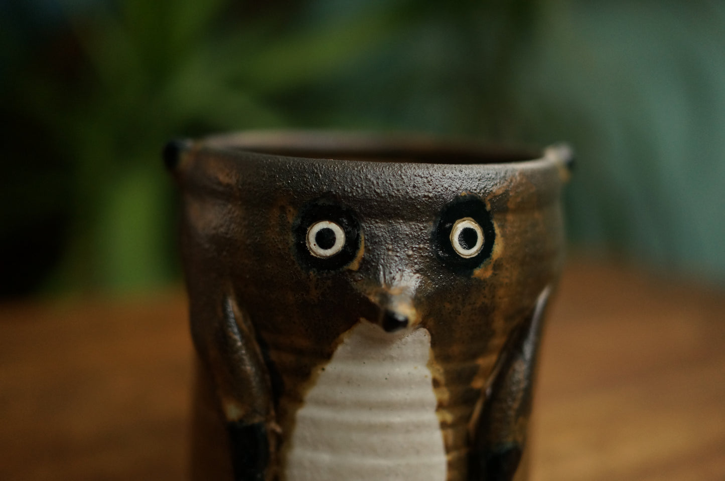 Meerkat Cup